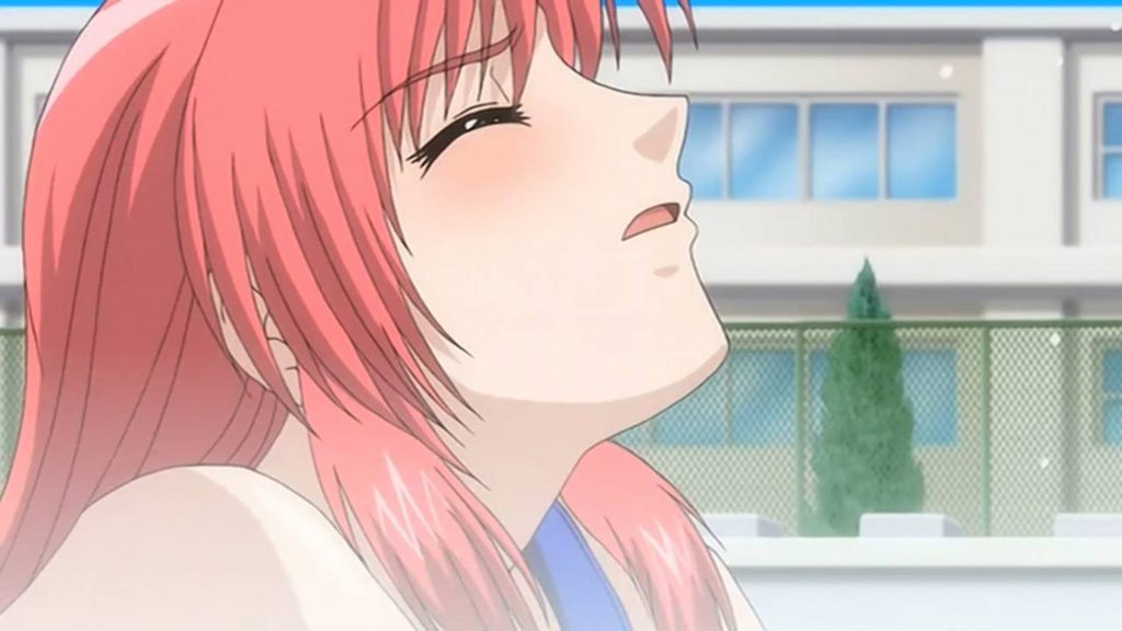 姉☆孕みっくす Vol.04 瞳姉、受精す! [中文字幕]
