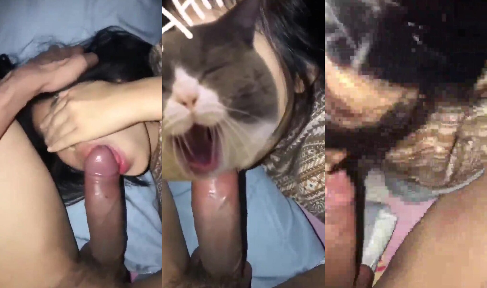 牙套泰妹吃大肉棒