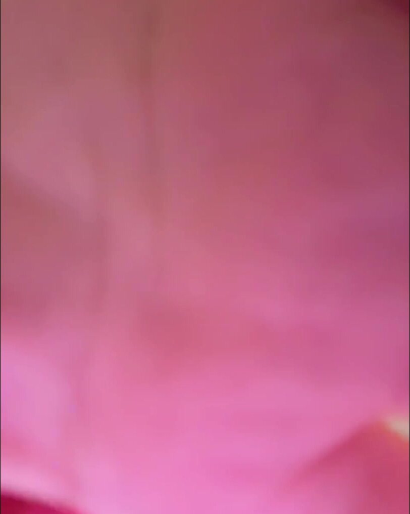 〇Kお嬢さん、放尿を見せて貰っても宜しいですか？ヨホホホホ