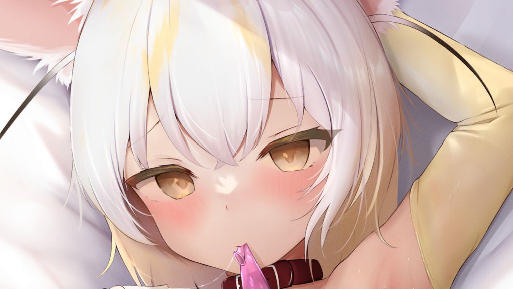 [みこさけ (mikosake)] フェネックちゃん(パンツなし、くぱぁ、挿入、ピストン、事後差分(計６枚)+ モザイク緩和高画質)