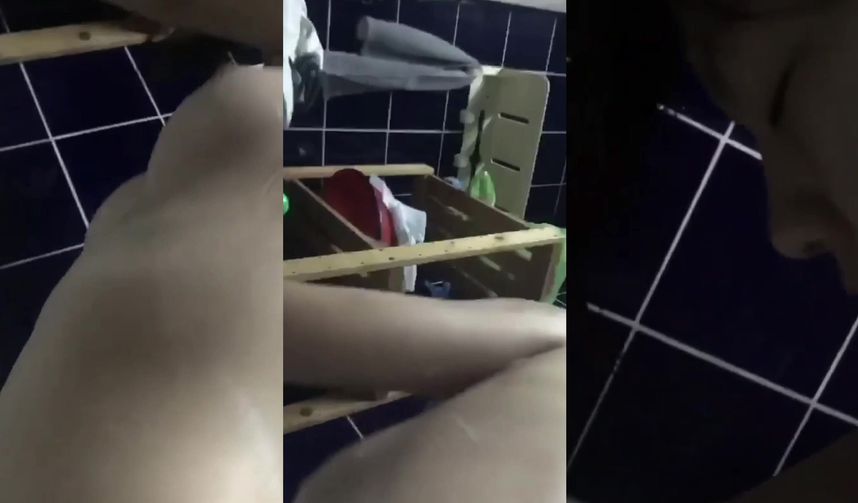 TikTok國中騷妹